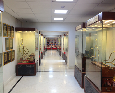 Musical Instruments Gallery - City Palace (Udaipur)